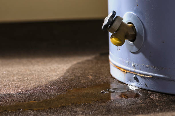 Best Sewage cleanup and water damage restoration  in Lawrenceburg, KY