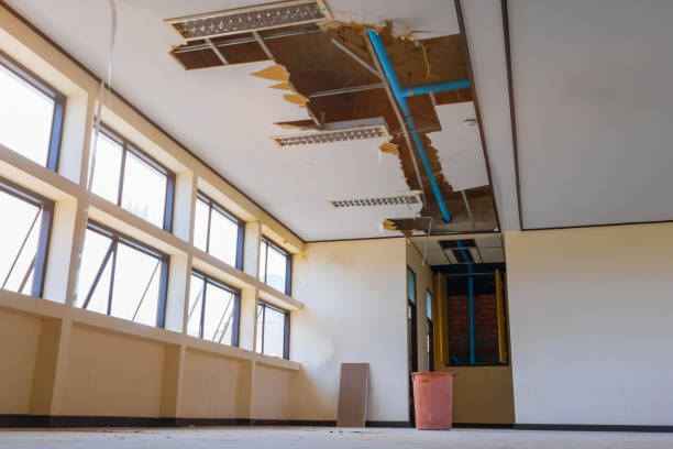 Best Water damage contractors near me  in Lawrenceburg, KY