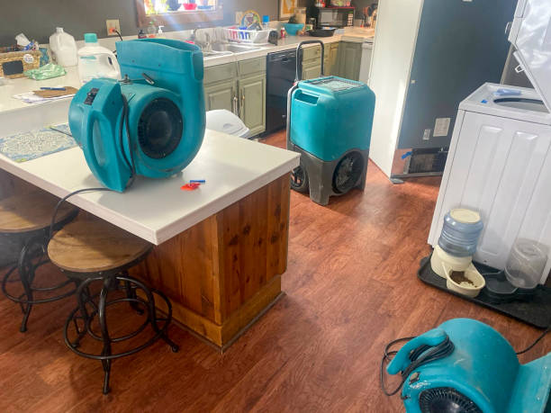 Best 24-hour water damage restoration  in Lawrenceburg, KY