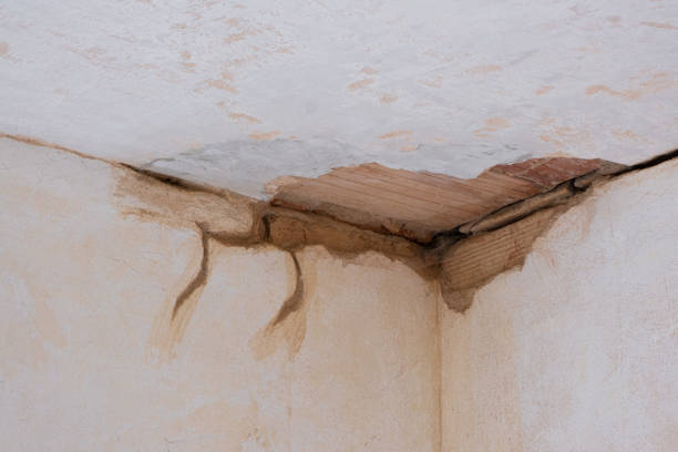 Best Emergency water damage restoration  in Lawrenceburg, KY