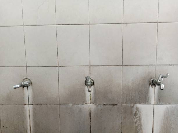 Best Basement water damage restoration  in Lawrenceburg, KY