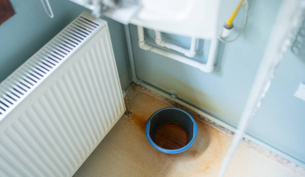 Best Water damage cleanup near me  in Lawrenceburg, KY