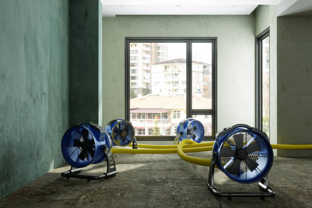 Best Ceiling water damage repair  in Lawrenceburg, KY