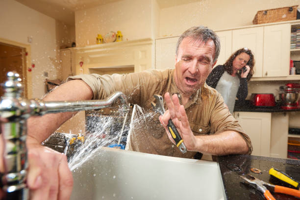 Best Carpet water damage restoration  in Lawrenceburg, KY